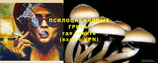 прущие грибы Алексеевка